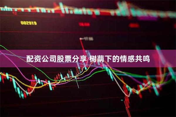 配资公司股票分享 树荫下的情感共鸣
