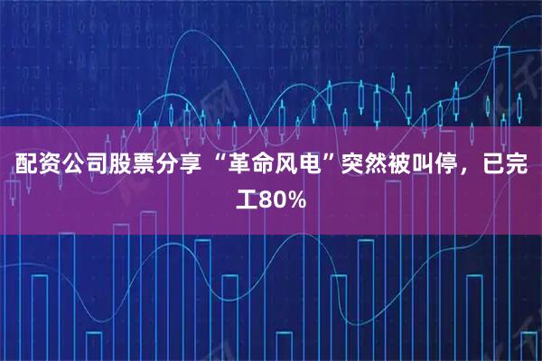配资公司股票分享 “革命风电”突然被叫停，已完工80%
