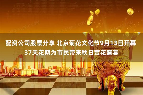 配资公司股票分享 北京菊花文化节9月13日开幕 37天花期为市民带来秋日赏花盛宴